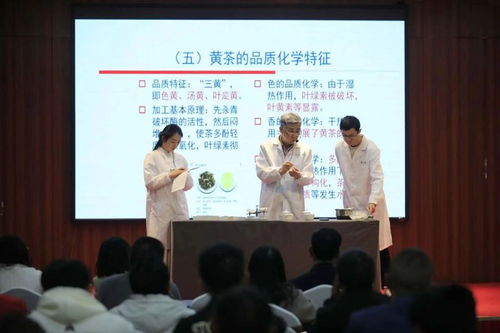 非遺活態傳承新篇章 黔北黃茶技藝選定黔東南代言人，推動茶文化深度交流